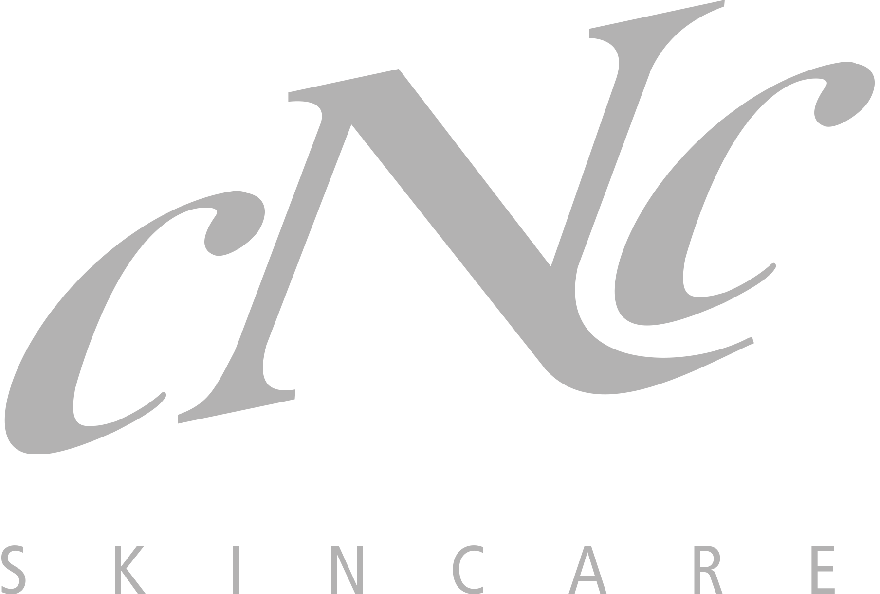 Logo CNC Skincare silber